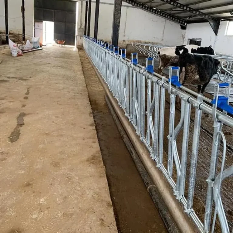 Büyükbaş Yemlik Kilidi ahır uygulaması